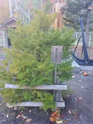 龍宮神社(北海道)