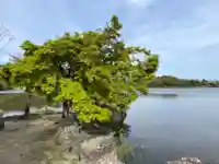 観音島(京都府)