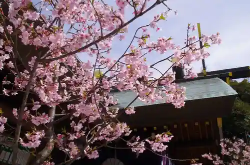 東京大神宮の自然