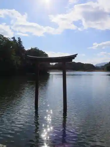 薦神社の鳥居