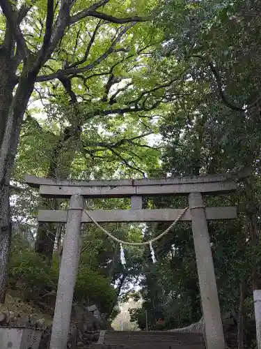 阿智神社の鳥居