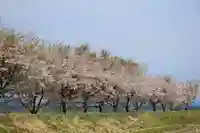 鏑箭神社の周辺