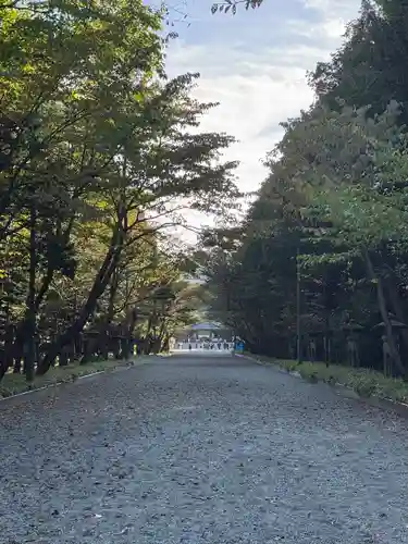 北海道神宮の景色