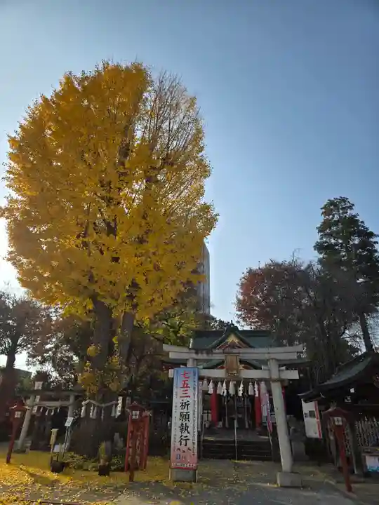 川越八幡宮(埼玉県)
