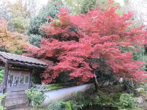 當麻寺中之坊の自然