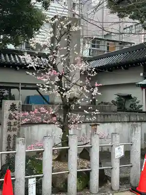 大阪天満宮(大阪府)