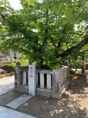 田村神社(香川県)