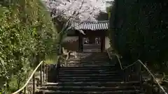 白毫寺の建物その他