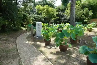 西大寺のその他建物