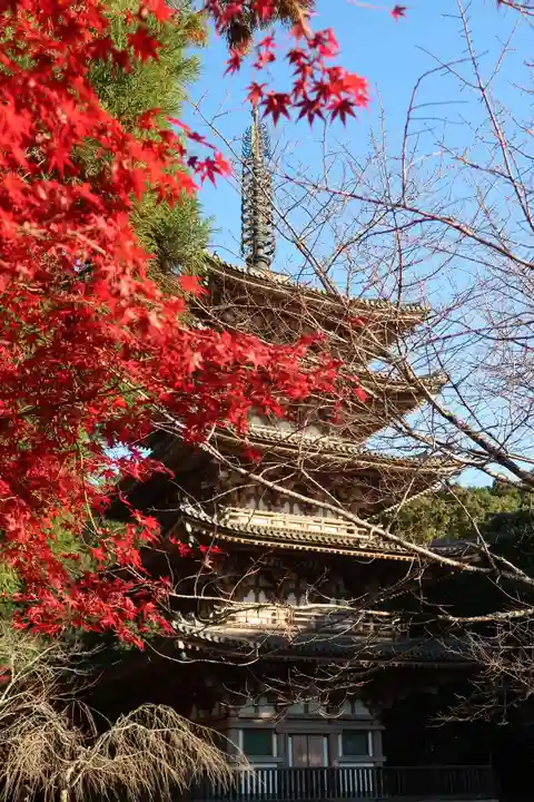 醍醐寺のその他建物