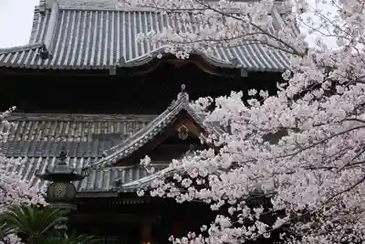 粉河寺の本殿・本堂