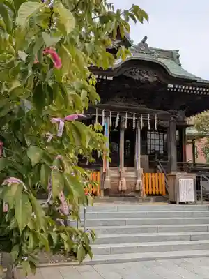 桜神宮(東京都)