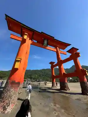 厳島神社(広島県)