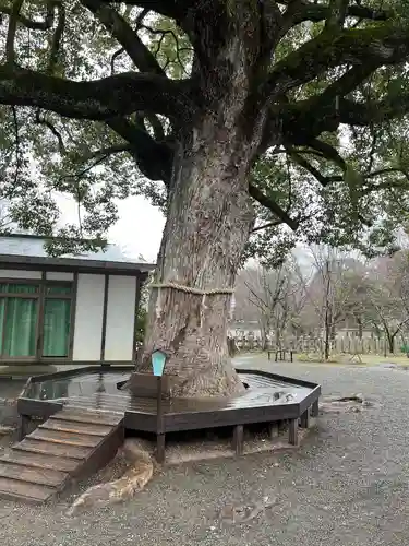 平野神社(京都府)