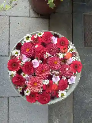 永代寺(東京都)