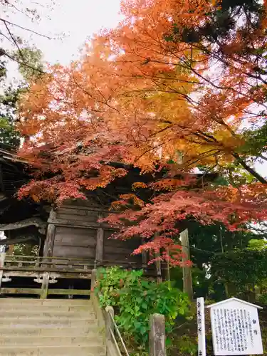 中尊寺の自然