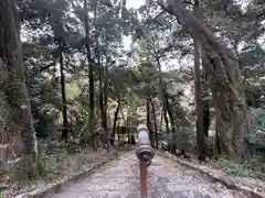 白山神社の建物その他