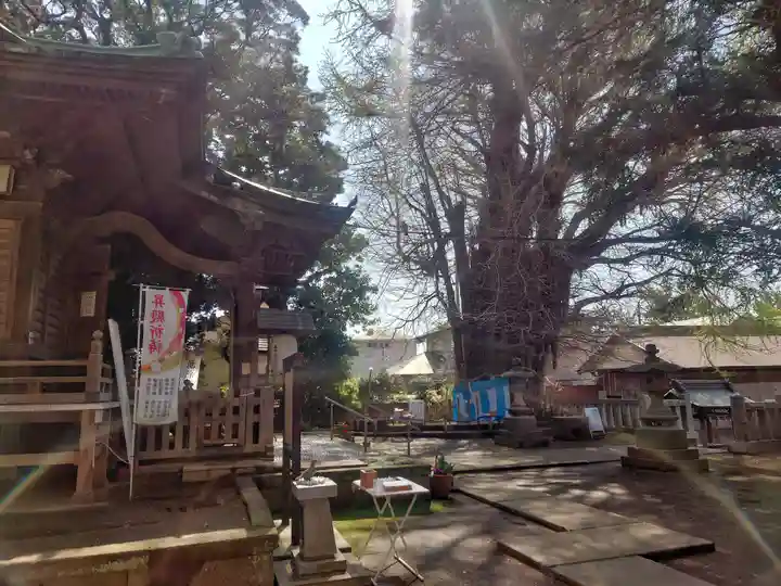 鶴嶺八幡宮(神奈川県)