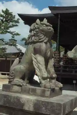 智恩寺の狛犬