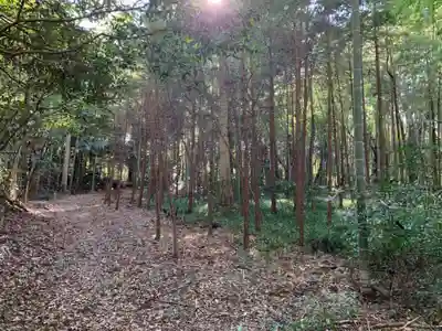 妙見神社(千葉県)