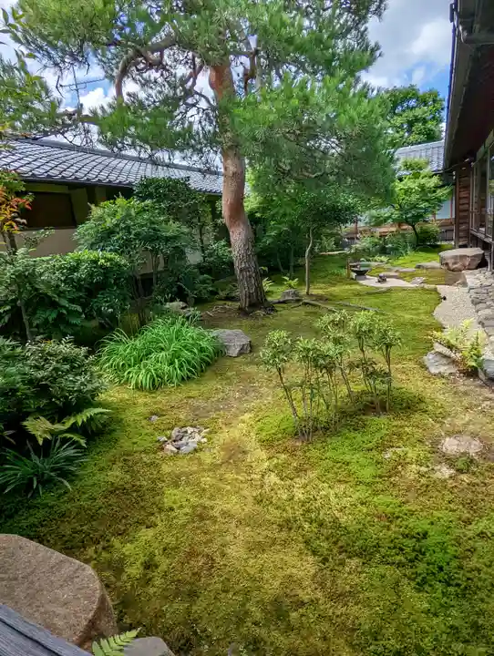 妙顯寺(妙顕寺)(京都府)