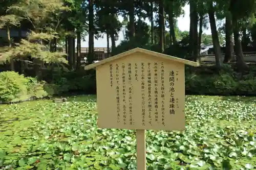 金剛證寺の庭園