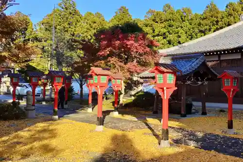 広徳院の庭園