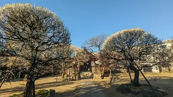 北野神社(東京都)