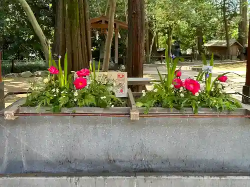 武蔵一宮氷川神社(埼玉県)