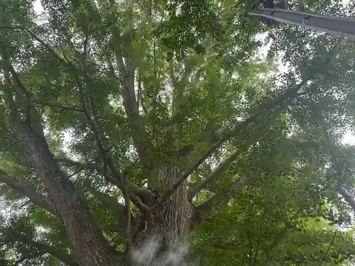 金刀比羅神社(千葉県)