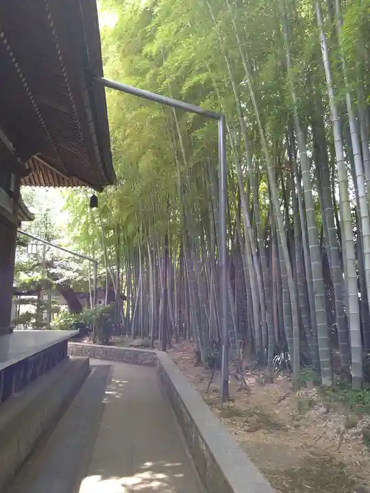 妙法寺(おおくら大佛)(東京都)