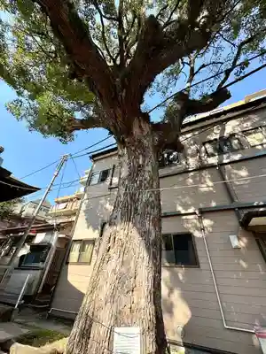 子神社(神奈川県)