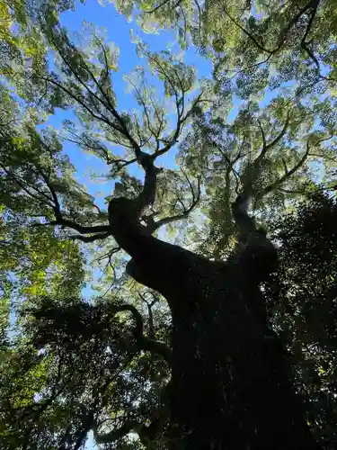 月讀宮（皇大神宮別宮）の自然