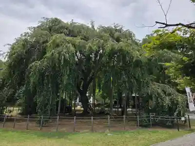 足羽神社(福井県)
