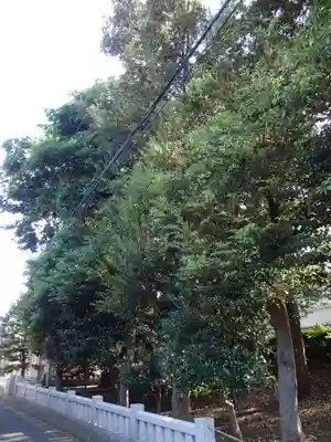 坪宮(大国魂神社境外摂社)の自然