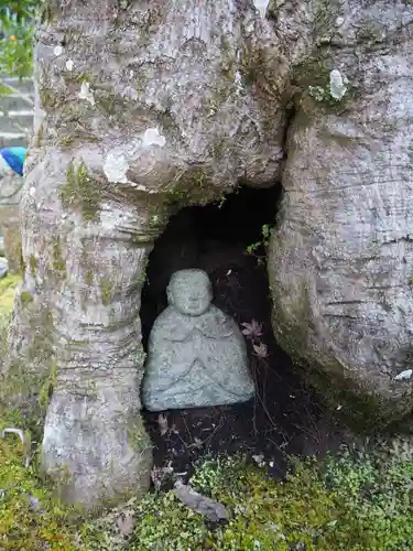 大聖院(広島県)