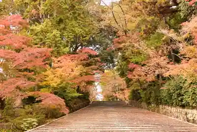 光明寺（粟生光明寺）(京都府)