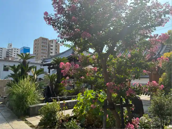 誓安寺(大阪府)