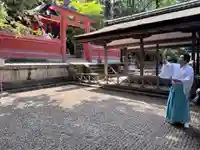 春日大社 若宮(春日若宮)(奈良県)