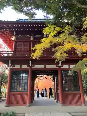 本土寺(千葉県)
