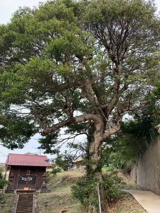 嚴嶋神社のその他建物