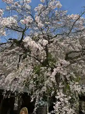 龍泉寺の{uncategorized: "未分類", other: "その他", undefined: "問題あり", building: "その他建物", grave: "お墓", sacred_gate: "鳥居", guardian: "狛犬", statue: "像", buddha: "仏像", history: "歴史", nature: "自然", garden: "庭園", animal: "動物", pagoda: "塔", temizu: "手水舎", mountain_gate: "山門・神門", sanctuary: "本殿・本堂", subordinate: "末社・摂社", art: "芸術", scenery: "景色", jizo: "地蔵", ema: "絵馬", goshuin: "御朱印", omikuji: "おみくじ", items: "授与品その他", amulet: "お守り", goshuincho: "御朱印帳", eats: "食事", festival: "お祭り", votive_dance: "神楽", shichigosan: "七五三参", wedding: "結婚式", experience: "体験その他", initially: "初詣", around: "周辺", anti_infection: "感染症対策"}
