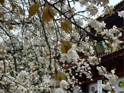 輪王寺(栃木県)