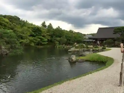 天龍寺の庭園