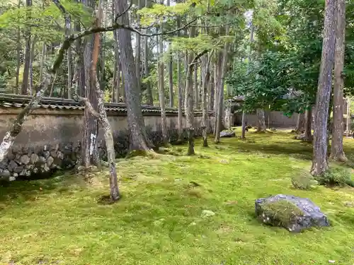 西芳寺(京都府)