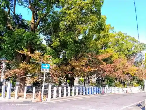 神明社（亥新田神明社）の周辺