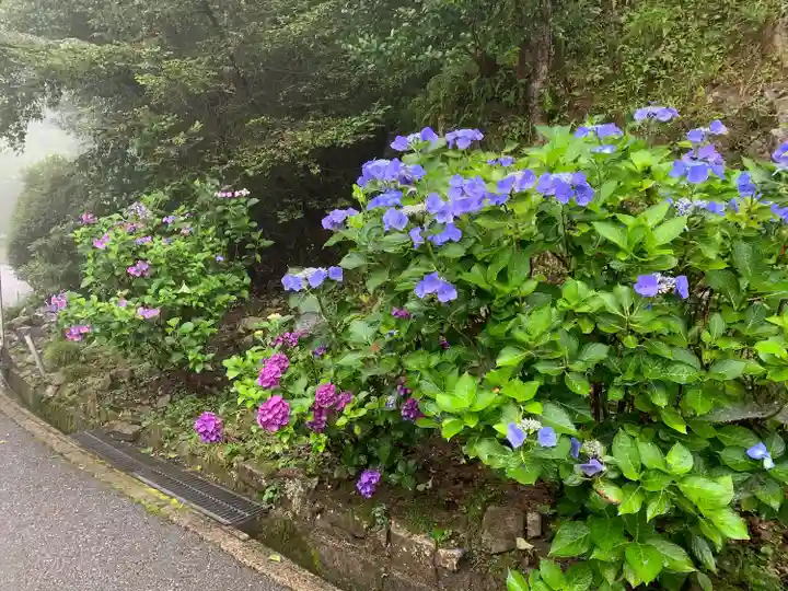 播州清水寺の自然