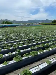 法話と天井絵の寺 観音寺(徳島県)(2022年07月01日(金) 08時28分50秒投稿)