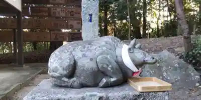 棚倉孫神社(京都府)