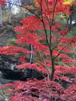 榛名神社の自然